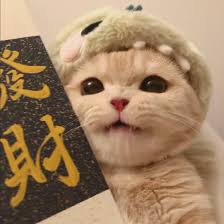 Ảnh đại diện của Mai Linh